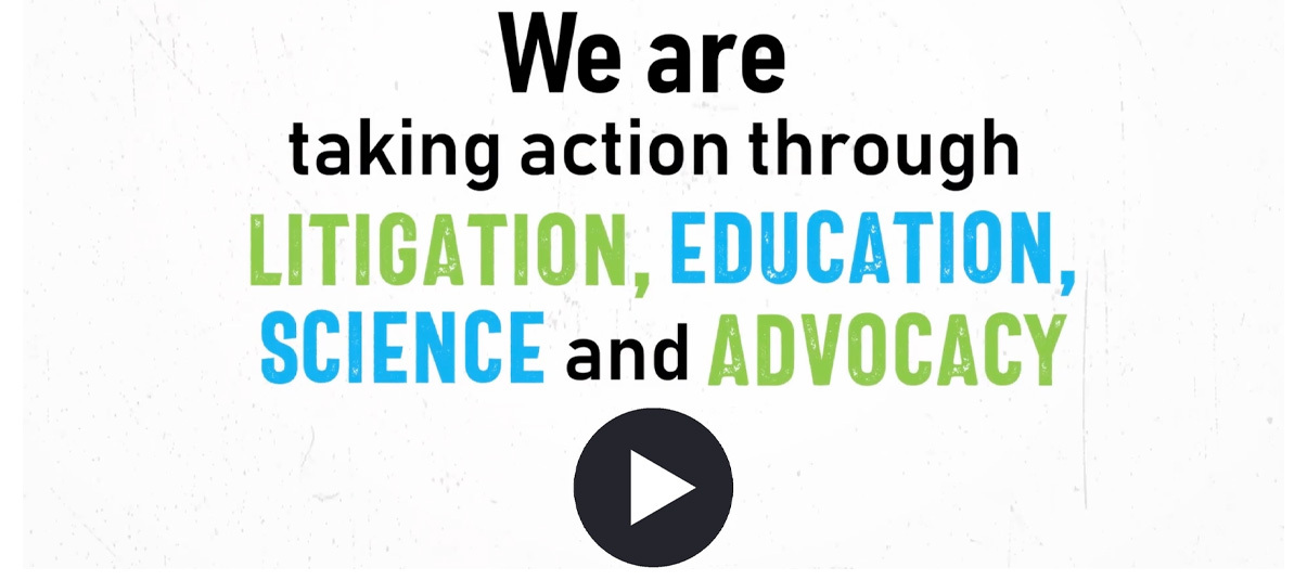 Video: We Are CHD